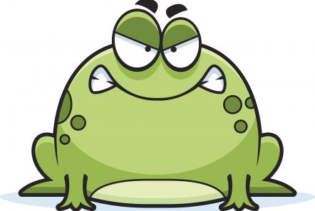 Angry Little Frog